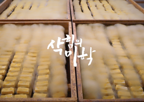 KBS ‘웃어라 상괭이’·EBS ‘세상에 나쁜…